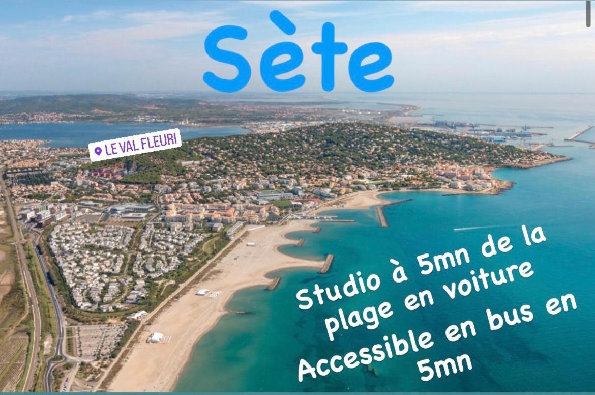 Magnifique Studio A Sete Proche Des Plages 外观 照片